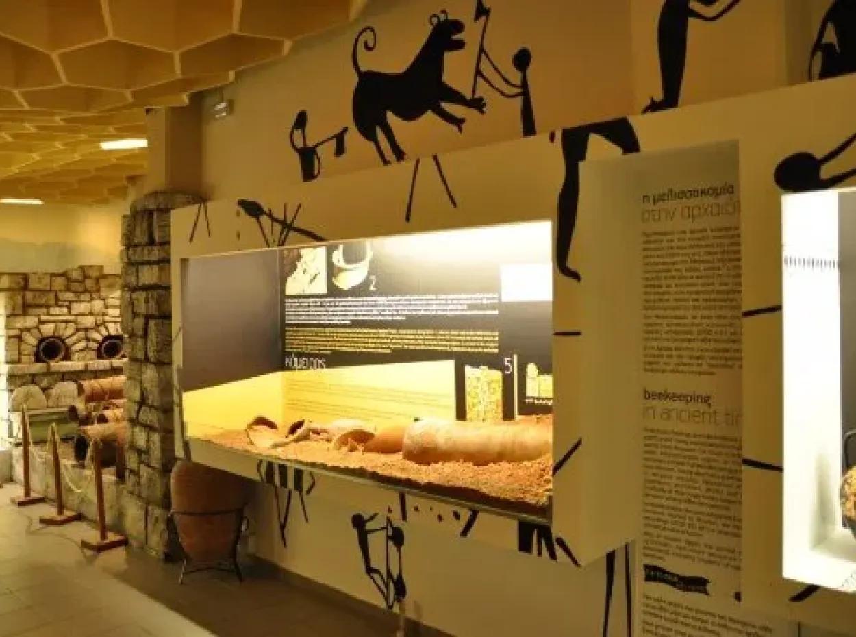 Historische Und Unterhaltsame Rhodos-Tour Mit Vollem Schwimmen