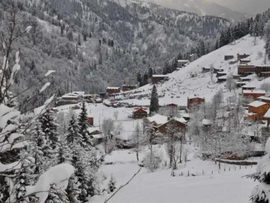 Herrliche Hochland- Und Batumi-Tour Zum Schwarzen Meer