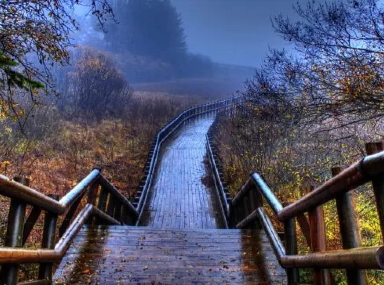 Abant Safranbolu Yedigöller Gölcük Lake