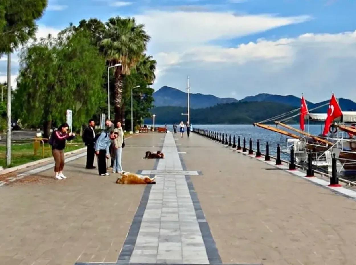 Photos Of Köyceğiz