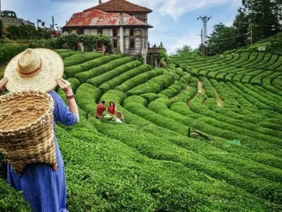 Magnificent Highland And Batumi Black Sea Tour