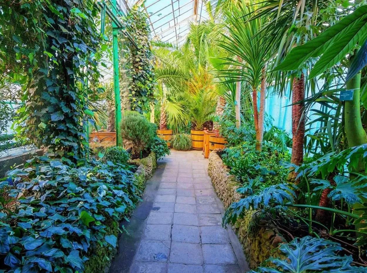 Almanya - Polonya Turu