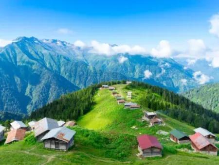 Gezi Tur Travel Touring
